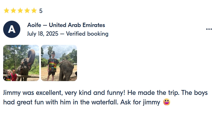 pon elephpant chiangmai thailand reviews